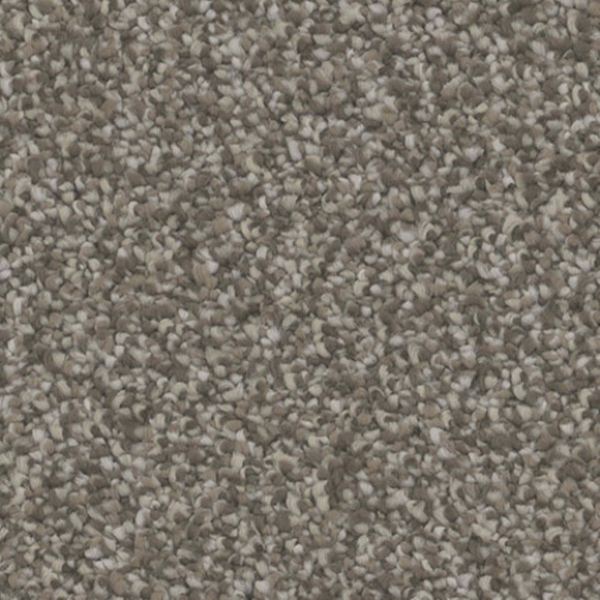 Inspire in Captivate Carpet