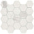 Themar in Statuario V Hex Tile
