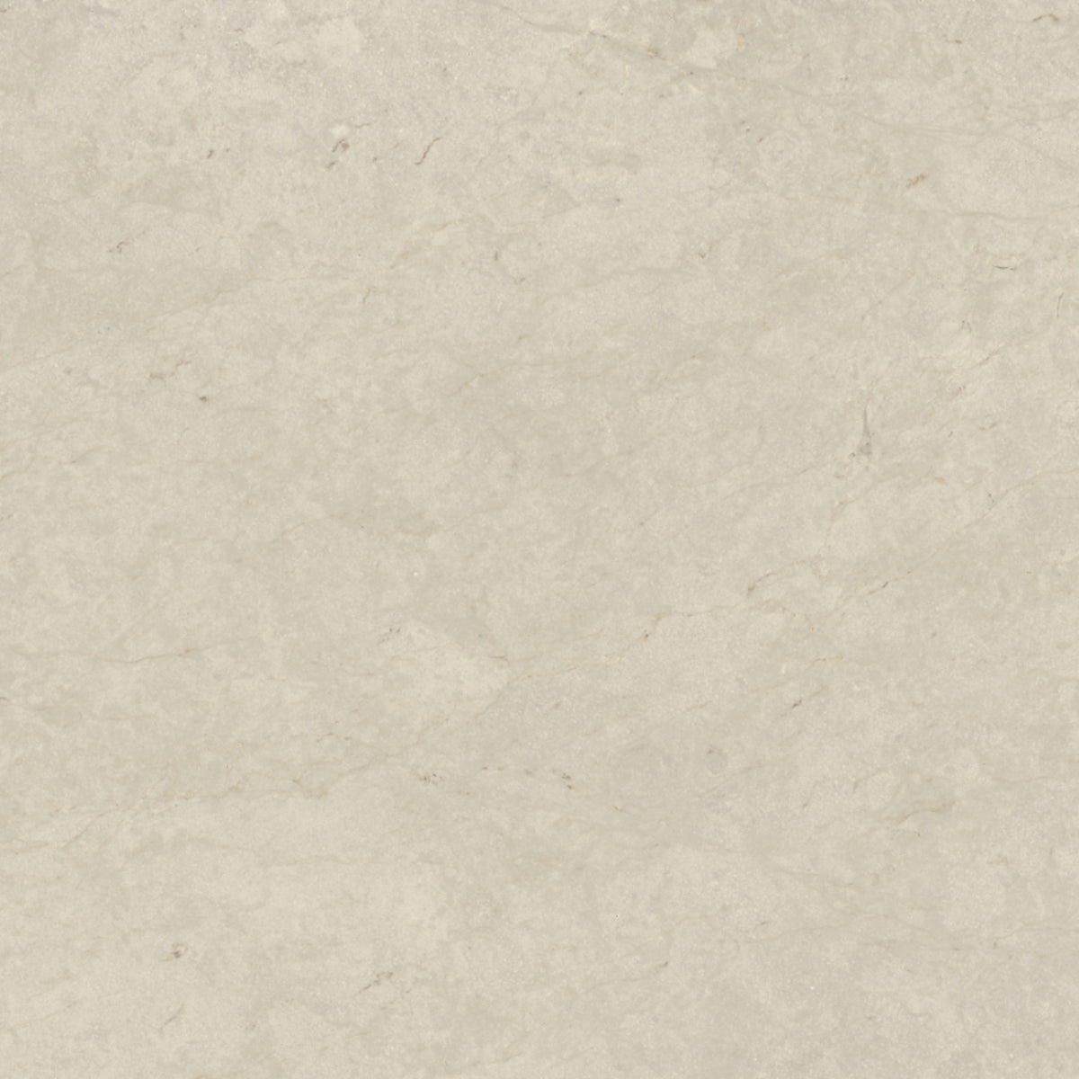 Tierra Halo in Honed 12x24 Natural Stone