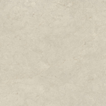 Tierra Halo in Honed 12x24 Natural Stone