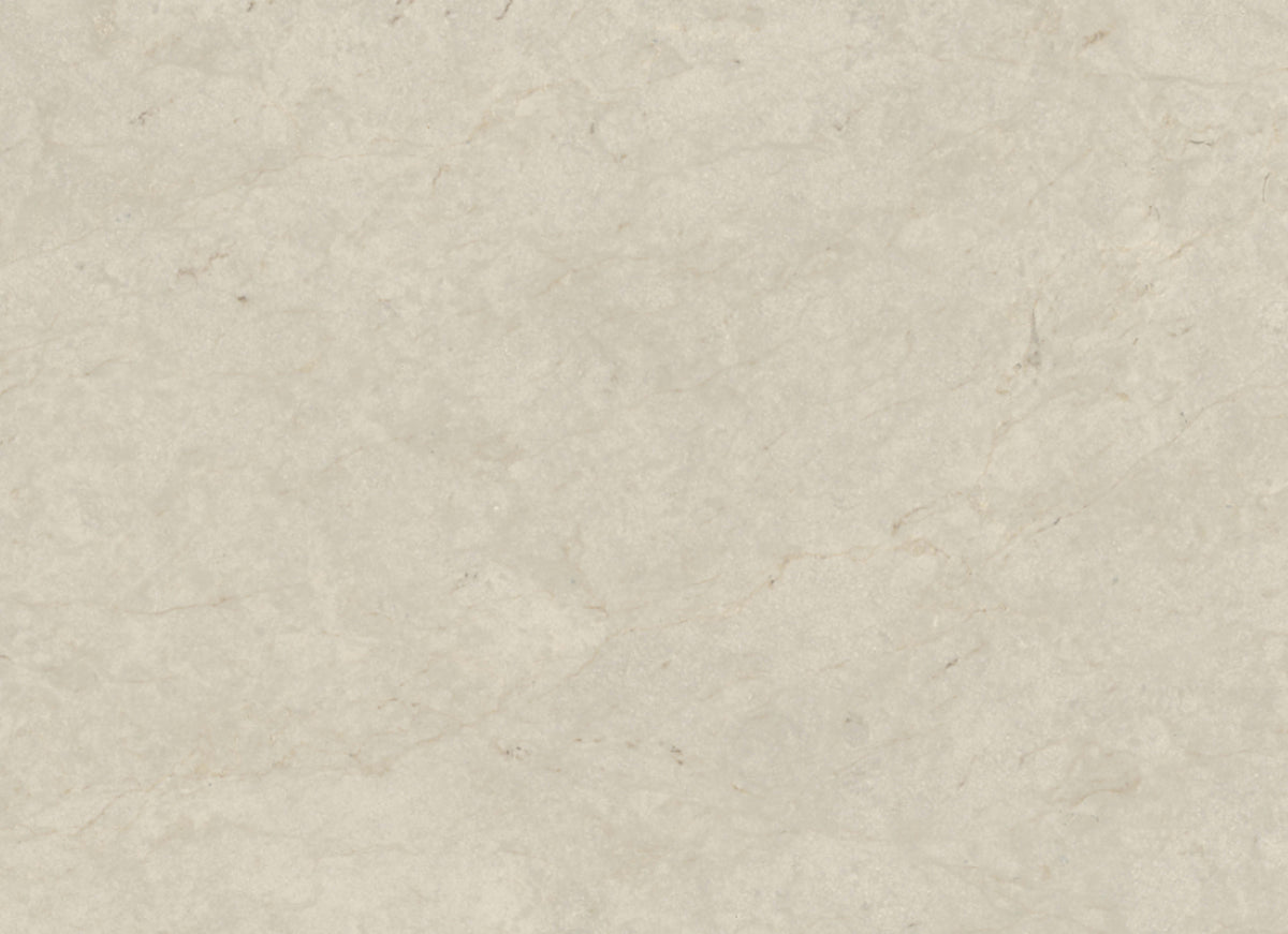 Tierra Halo in Honed 12x24