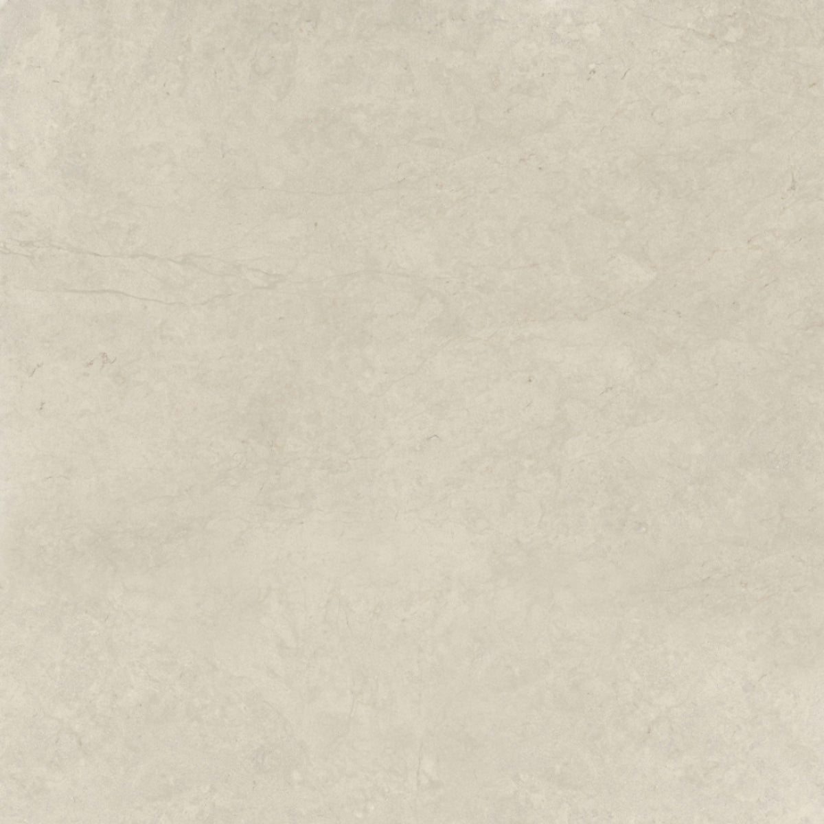 Tierra Halo in Honed 24x24 Natural Stone