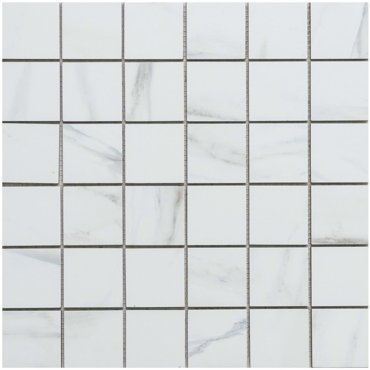Michelangelo in Grey 2x2 Tile
