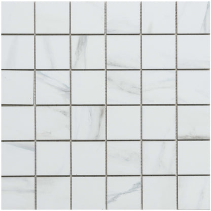 Michelangelo in Grey 2x2 Tile