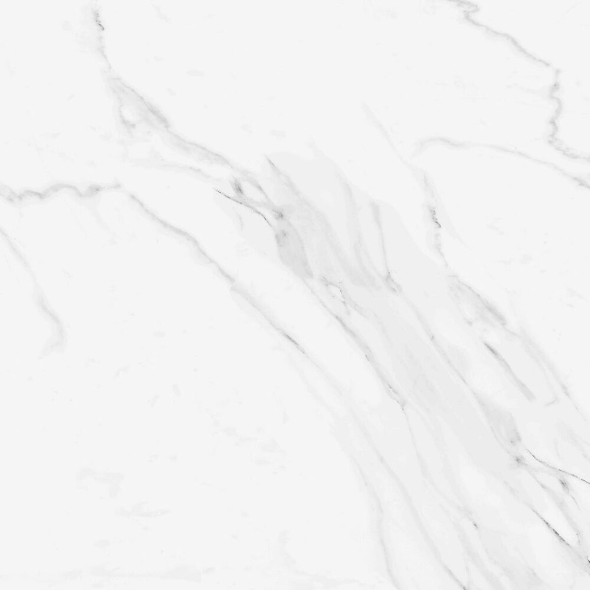 Naos in White 24x24 Tile