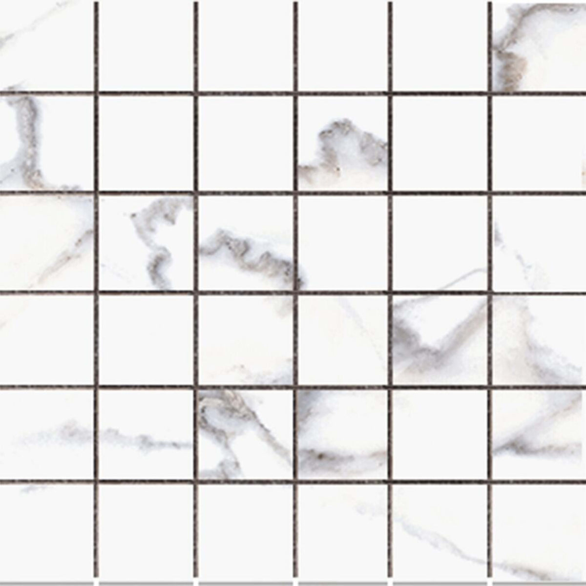 Platera in Calacatta 2x2 Tile