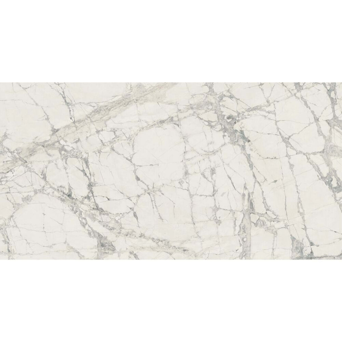 Prexious Silk in Mountain Treasure 12x24 Tile