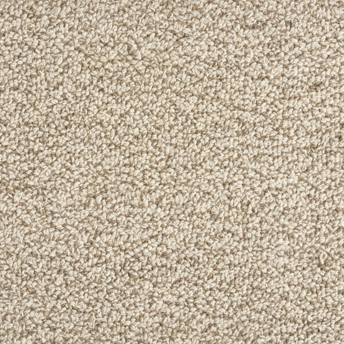 Trailblazer in Fossil Carpet