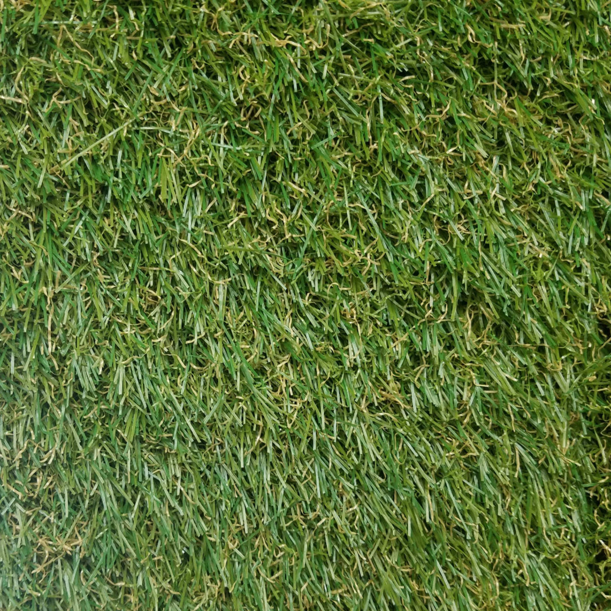 Torino 3436 Grass