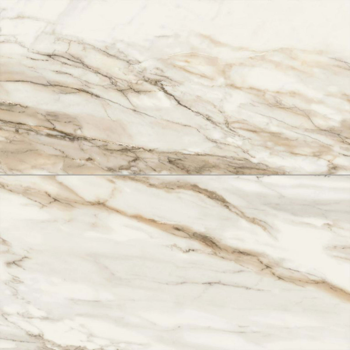 Tru Marmi in Gold 24x48 Tile