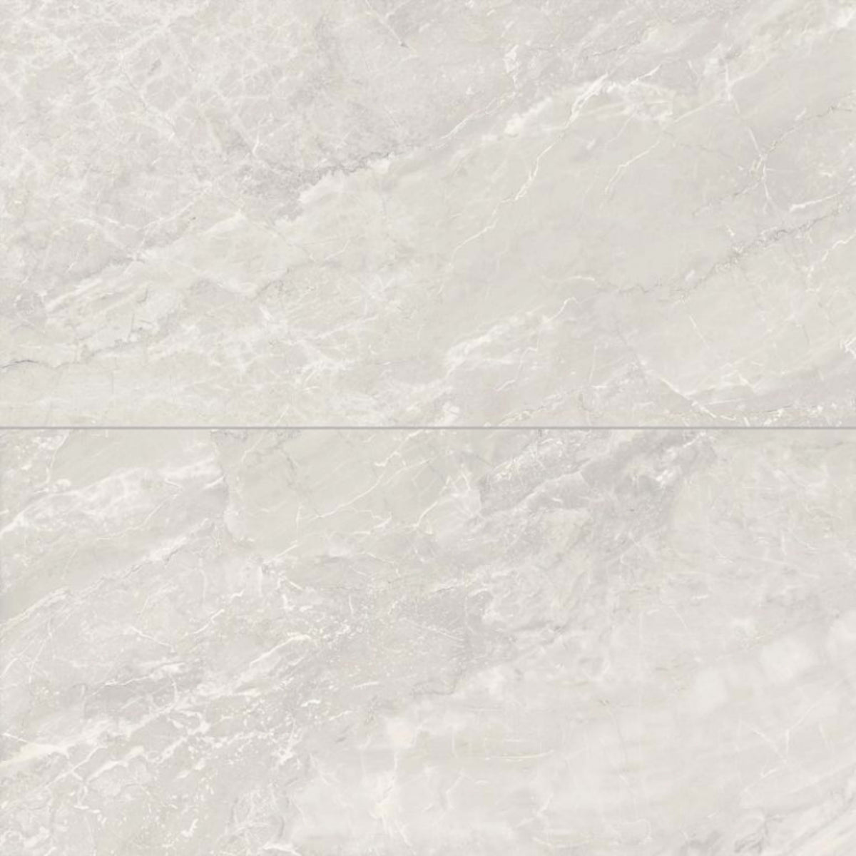 Tru Marmi in Silver 24x48 Tile