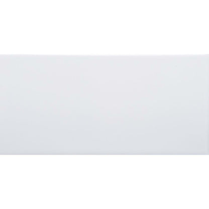 Retro BG Ice in Bright White Ice 3x6 Tile