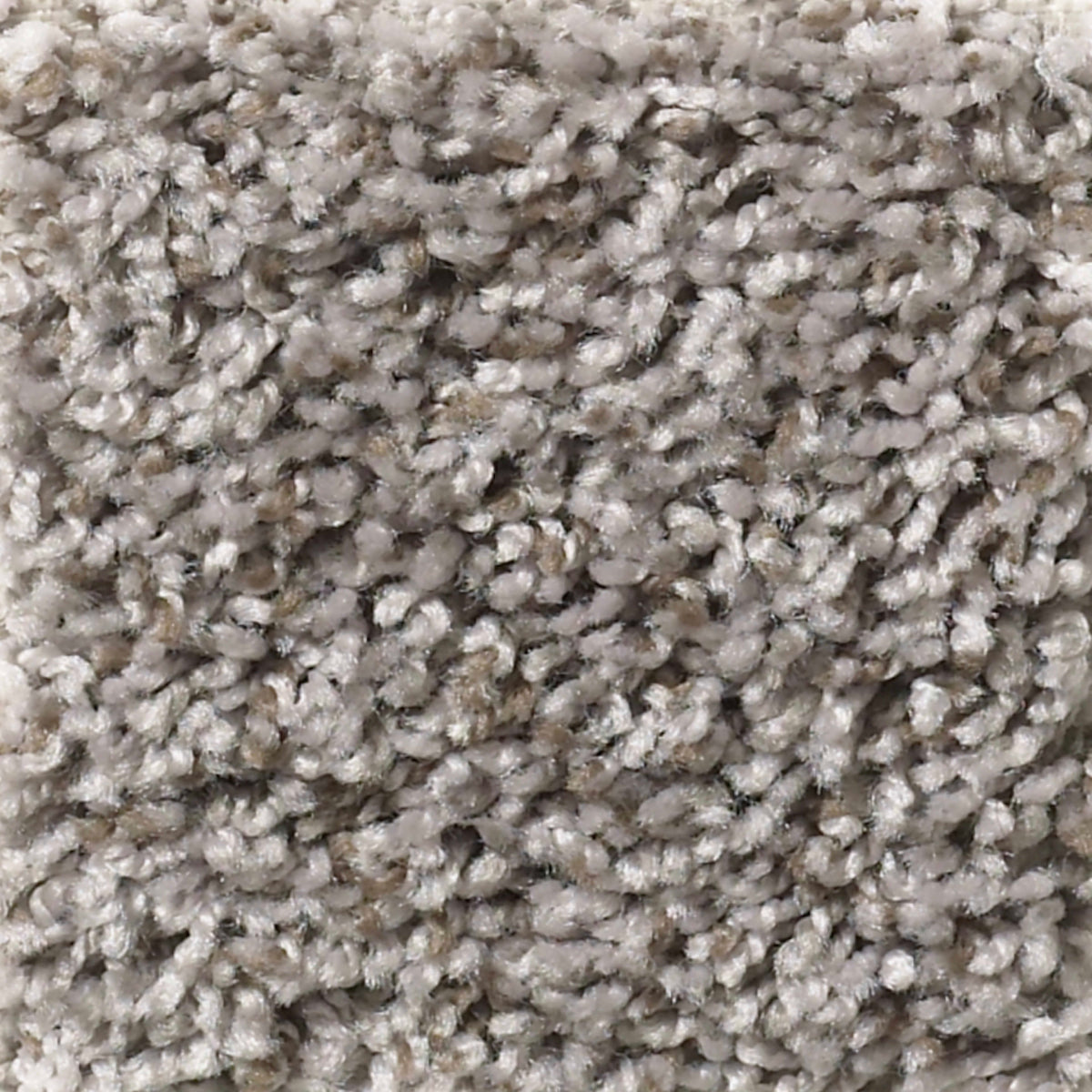 Wellington (T) in Retreat Carpet