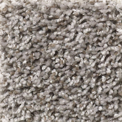 Wellington (T) in Retreat Carpet