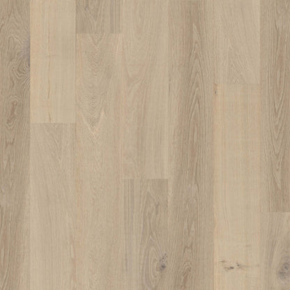 Terra in Taiga Hardwood