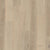 Terra in Taiga Hardwood