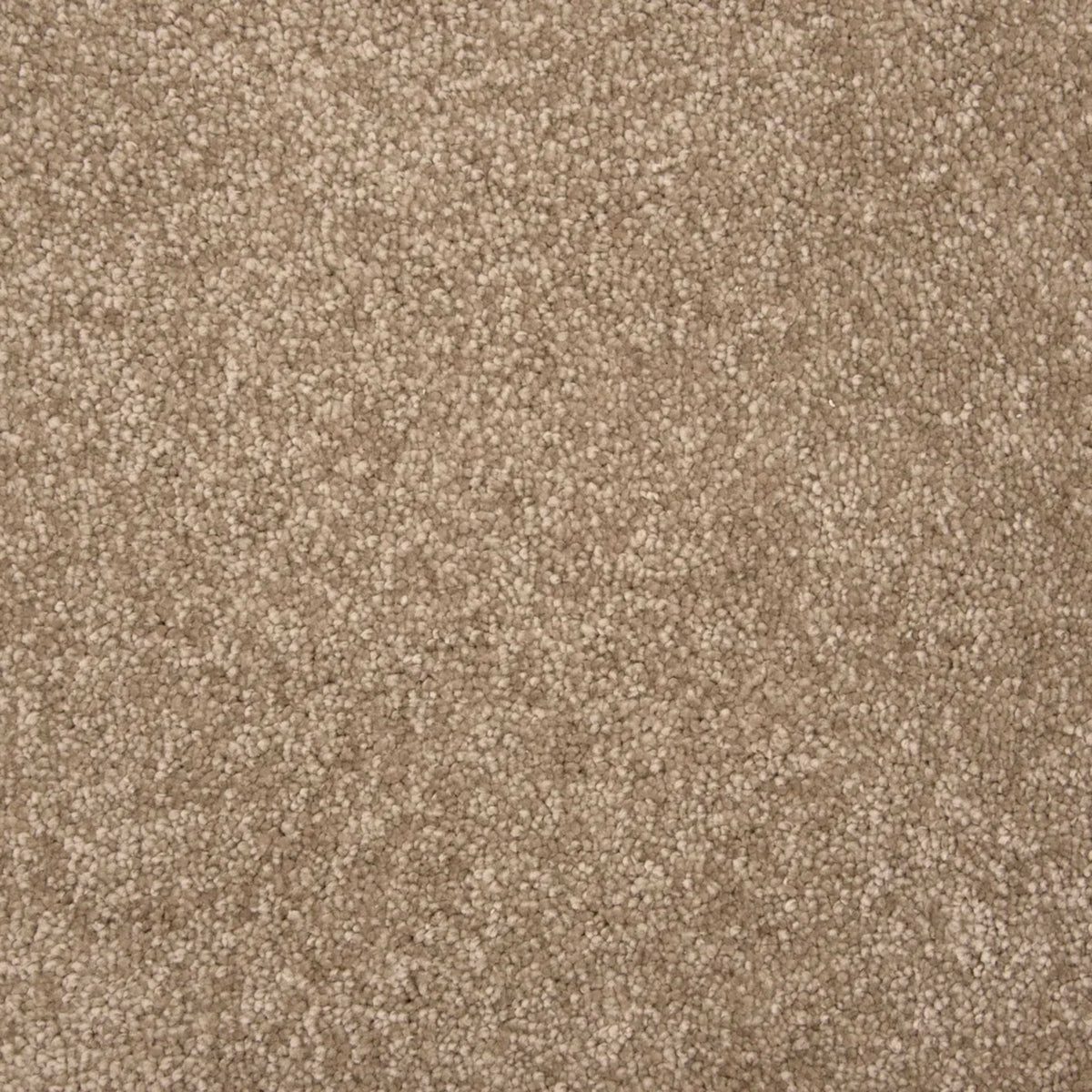 Throne in Khaki Carpet