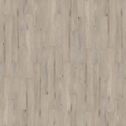 Innovious - Curio in Tommie Elm Luxury Vinyl