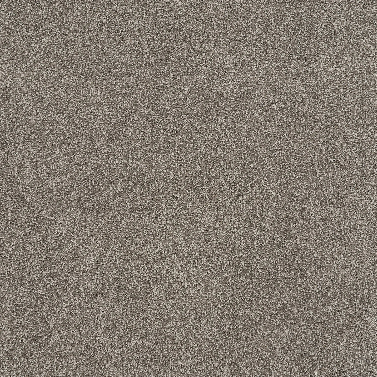 Tristan Plush II in Fossil Carpet