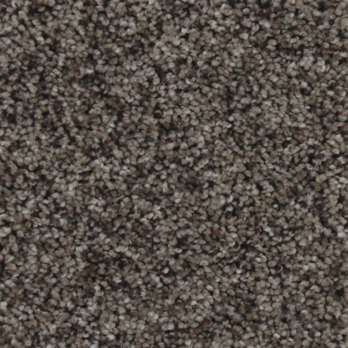 True Fashion in Felt Carpet