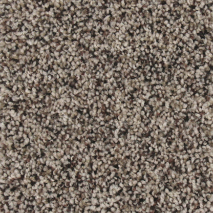 True Fashion