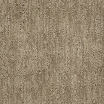 Tucson in Driftscape Carpet