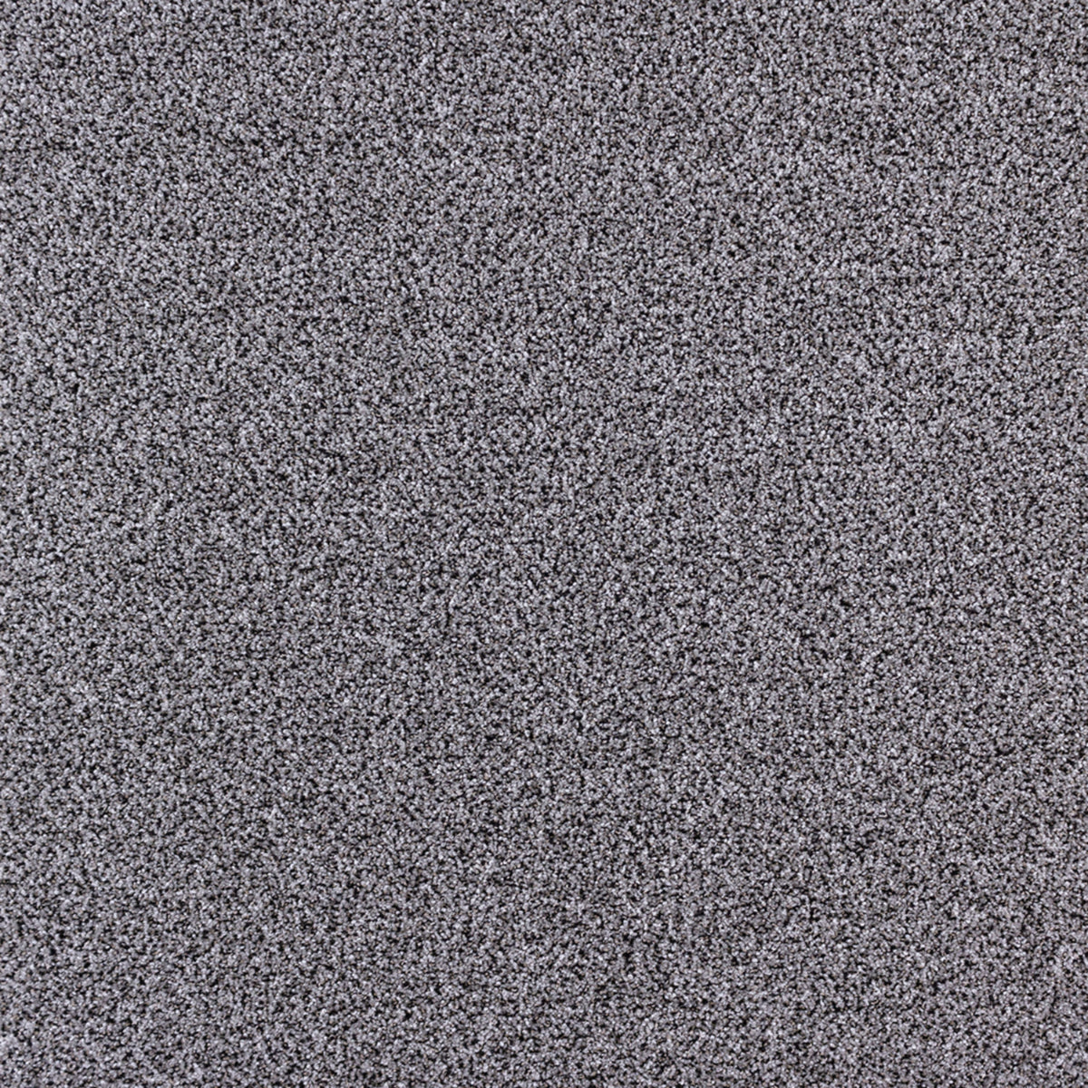 Turning Point in Summit Carpet