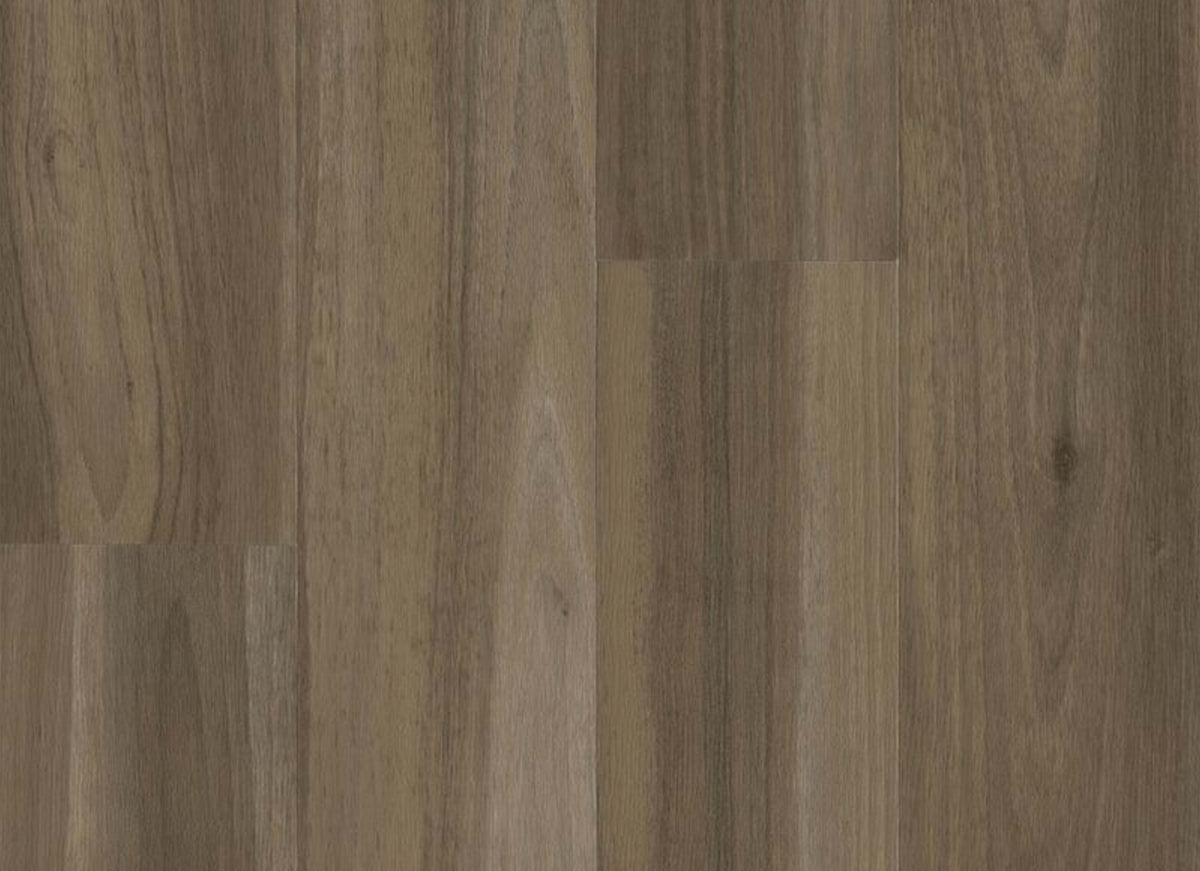 American Charm 12 Northhamptonshire in Bear Brown 6" X 36"