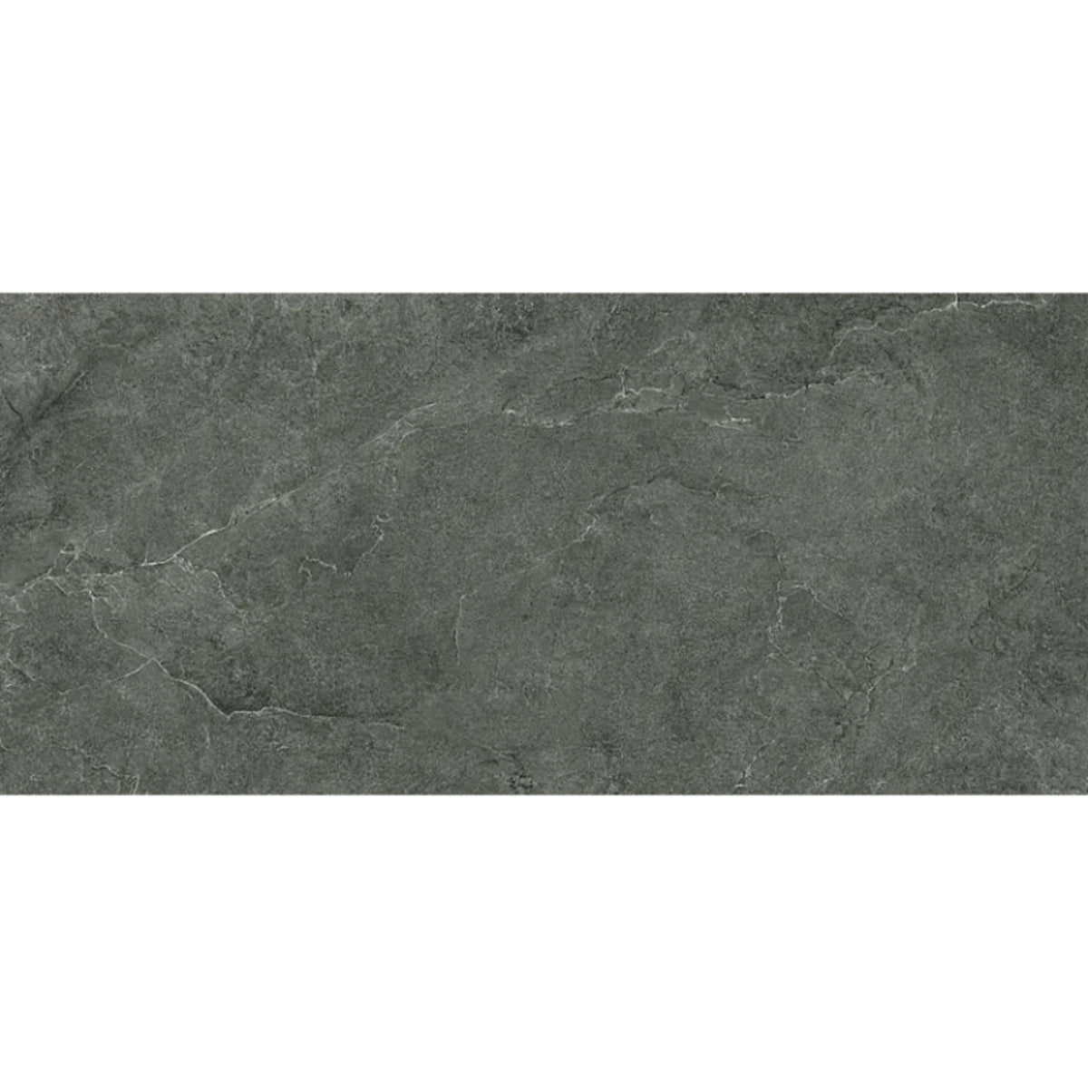 Unica in Carbon 24x48 Tile