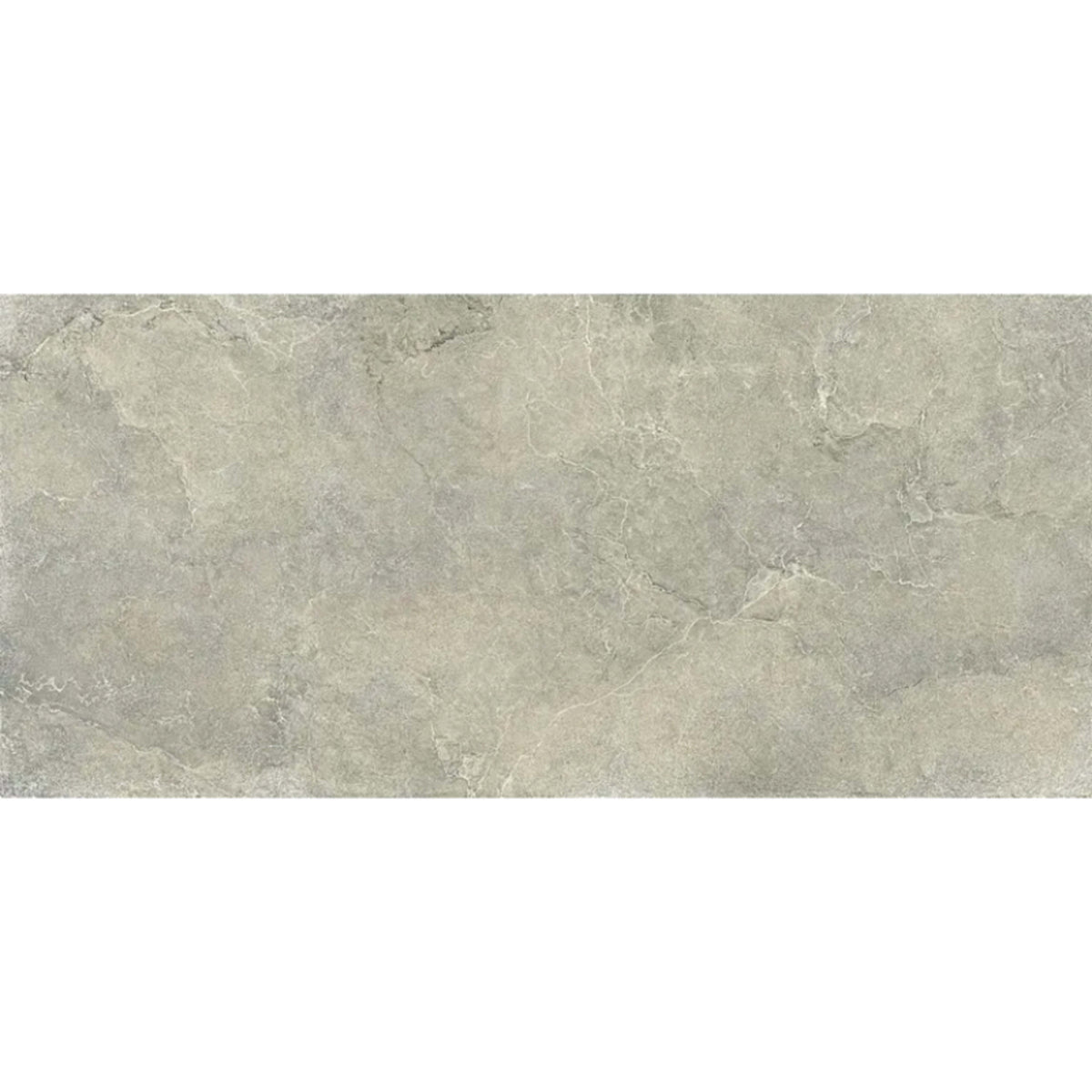 Unica in Desert 24x48 Tile