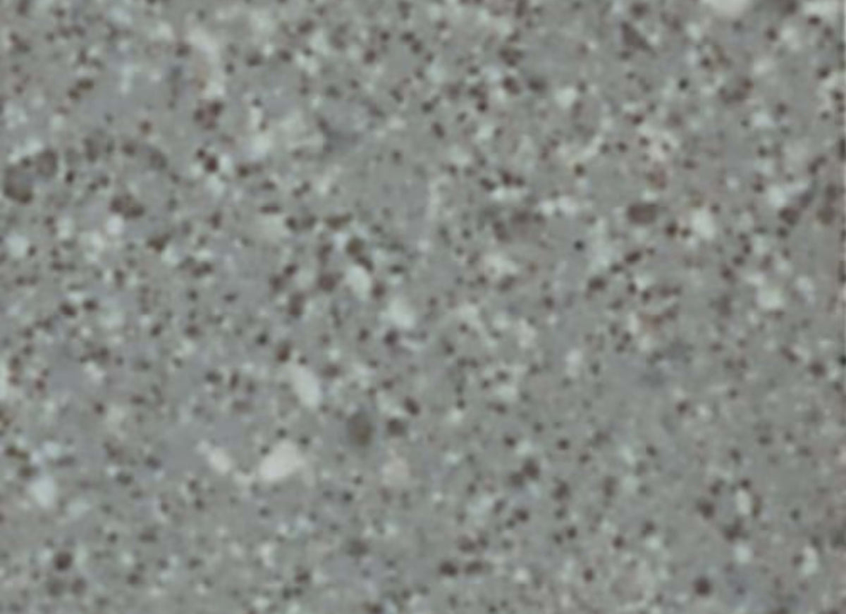 Unglazed Mosaics in Storm Gray Spc-1x1