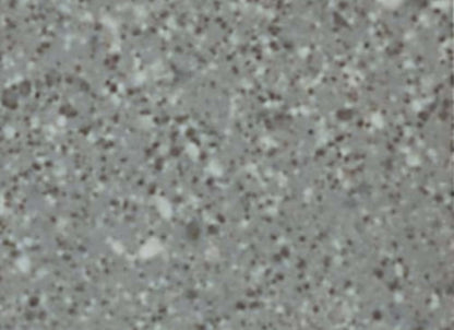 Unglazed Mosaics in Storm Gray Spc-1x1