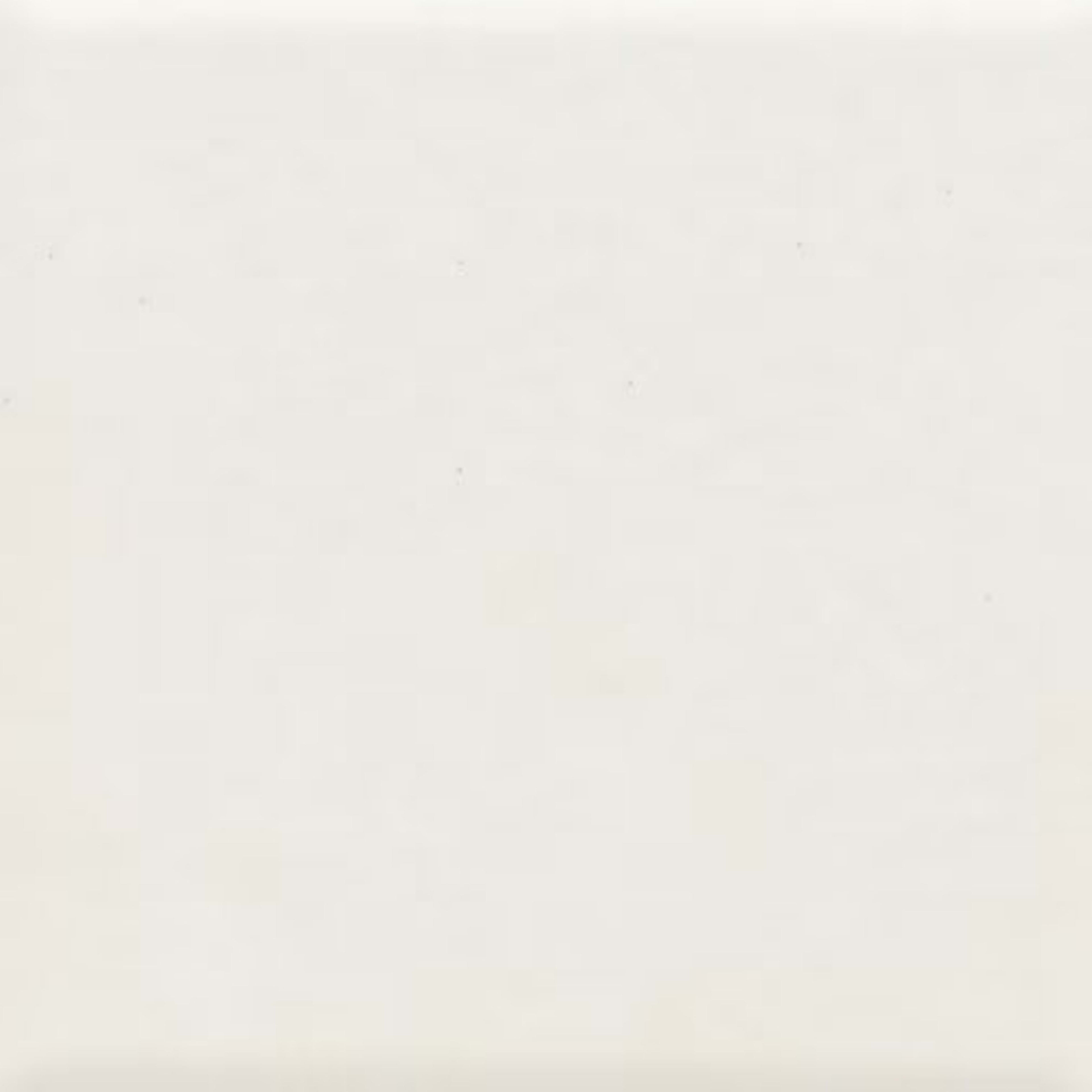 Unglazed Mosaics in Ice White-1x1-Matte Tile