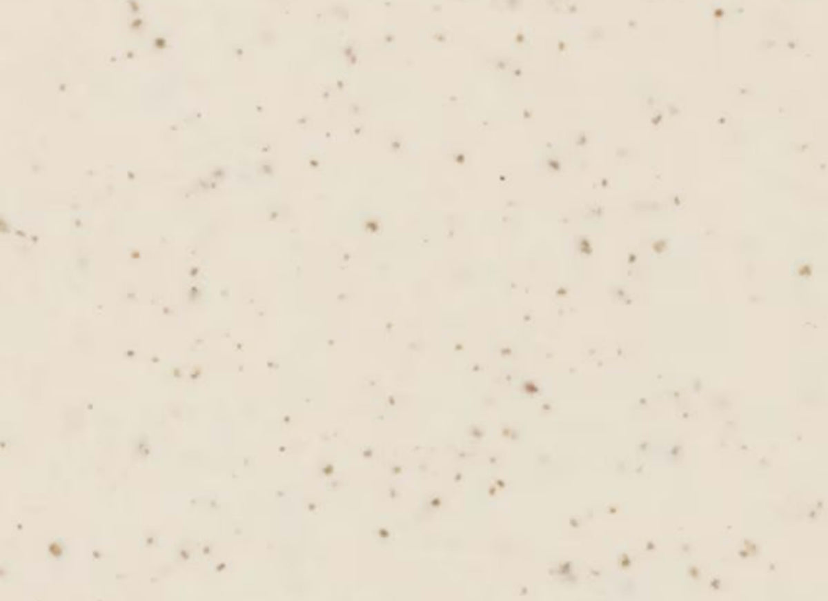 Unglazed Mosaics in Biscuit Speckled-2x2