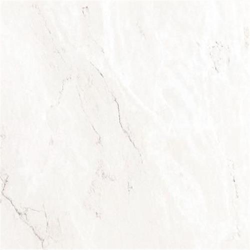 Bianco in Carrara Tile