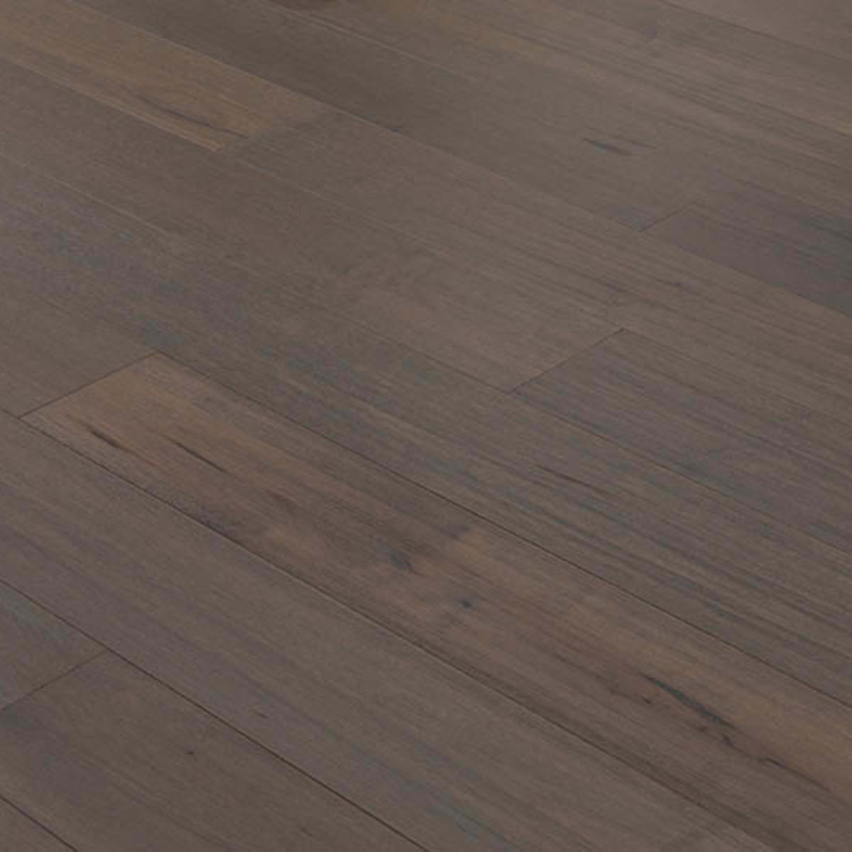 West Winds in Hillsboro   Hardwood