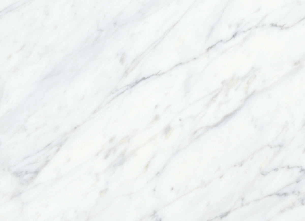 Virtue Bianco in Honed 12x24