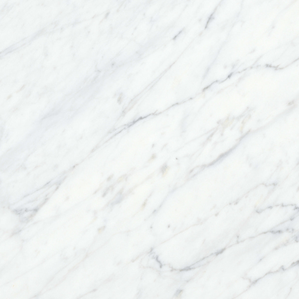 Virtue Bianco in Honed 12x24 Natural Stone