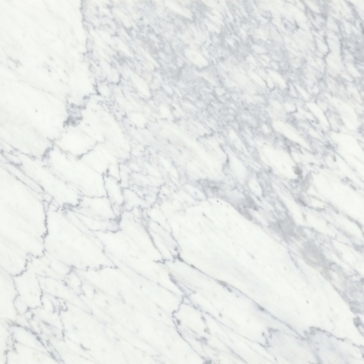Virtue Bianco in Honed 18x36 Natural Stone
