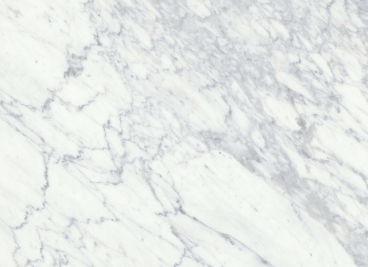 Virtue Bianco in Honed 18x36
