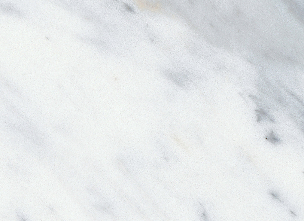 Virtue Bianco in Honed 3x12