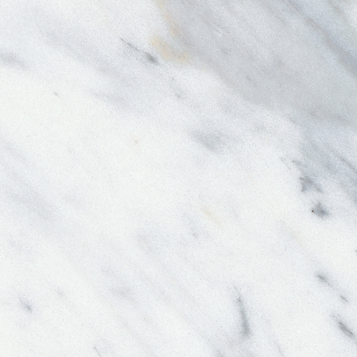 Virtue Bianco in Honed 3x12 Natural Stone