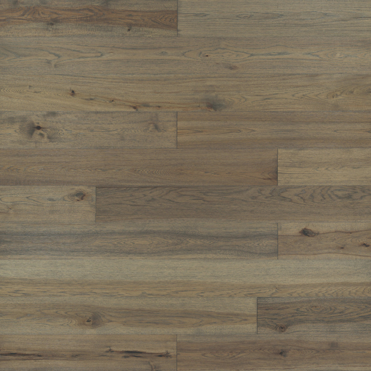 Ventura Hardwood in Hampton Hardwood