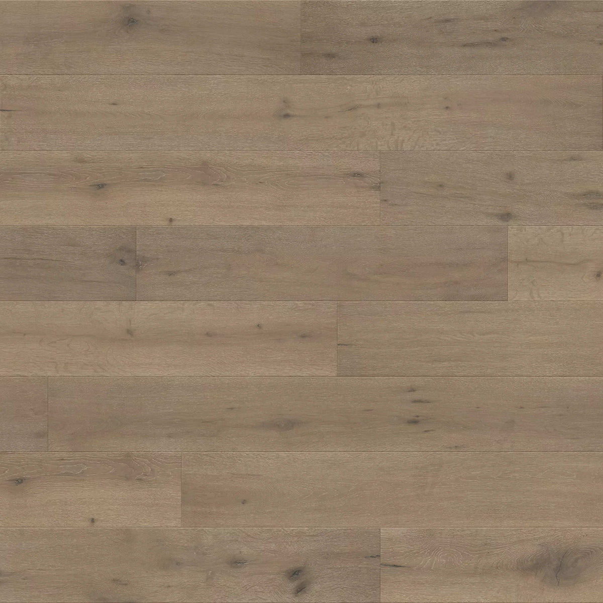 Vintage Elegance in Urbino Hardwood