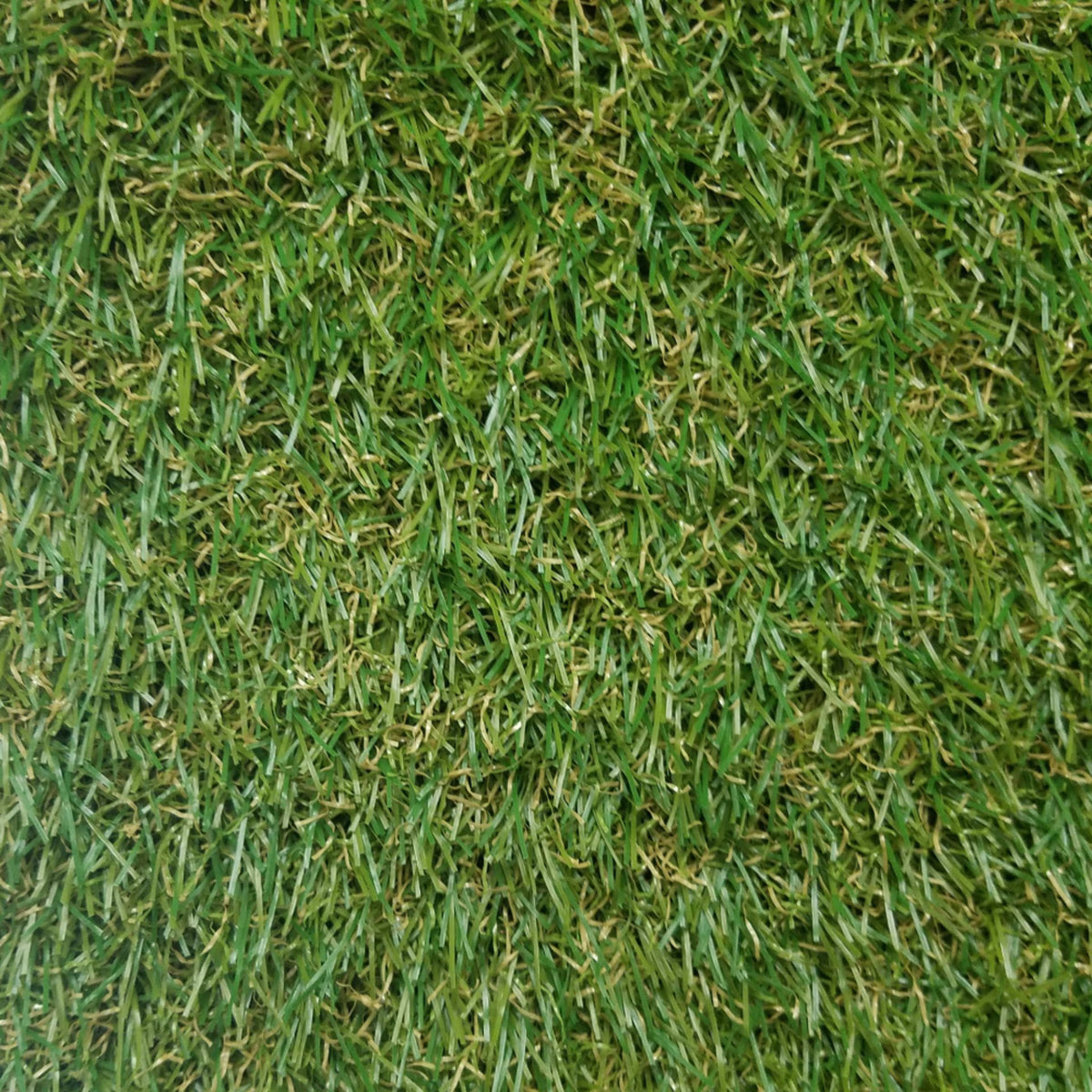 Venice 3496 Grass