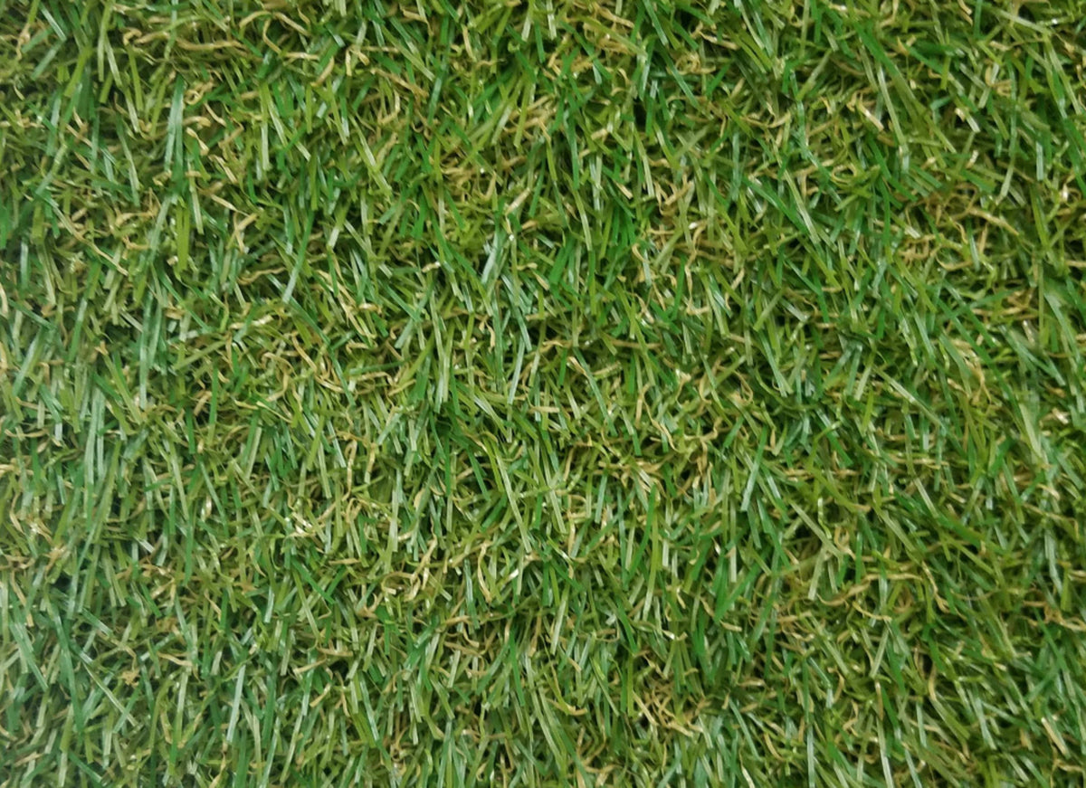 Venice 3496 Grass