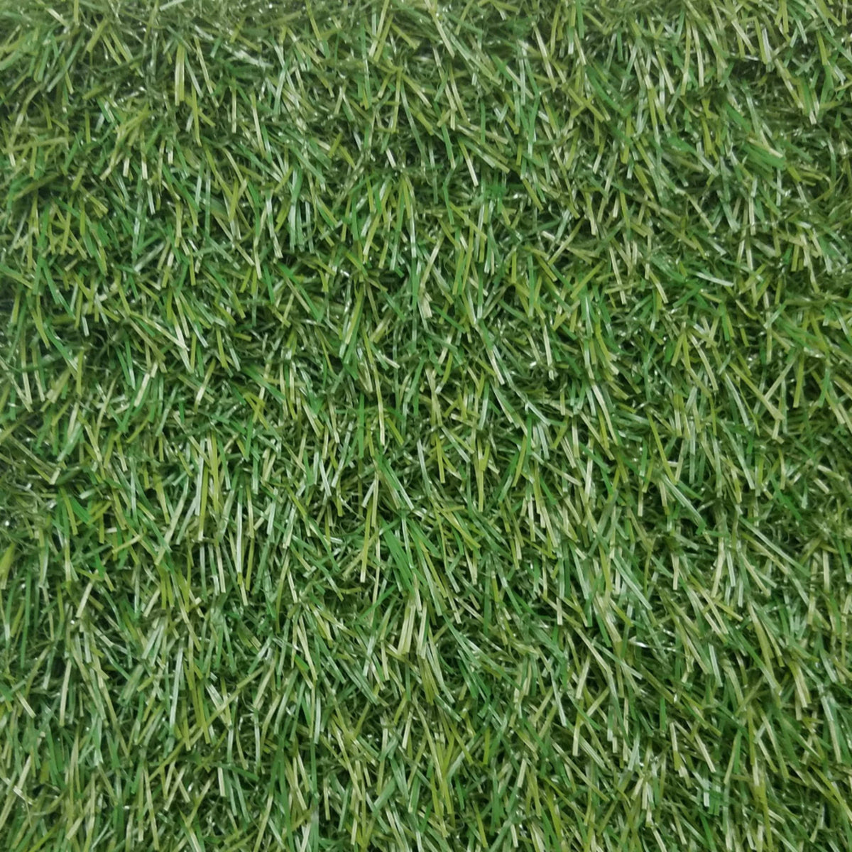 Venice 3496 Grass