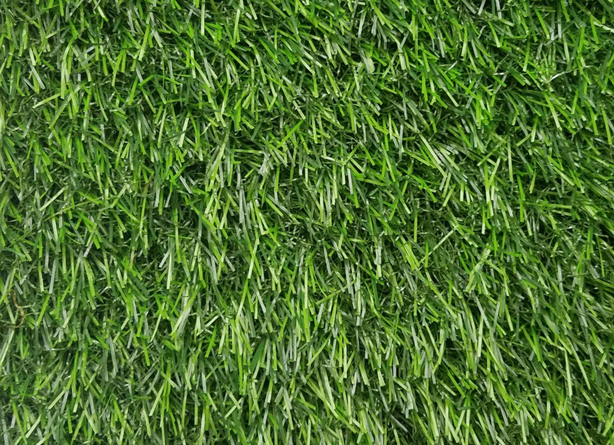 Venice 3496 Grass