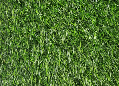 Venice 3496 Grass