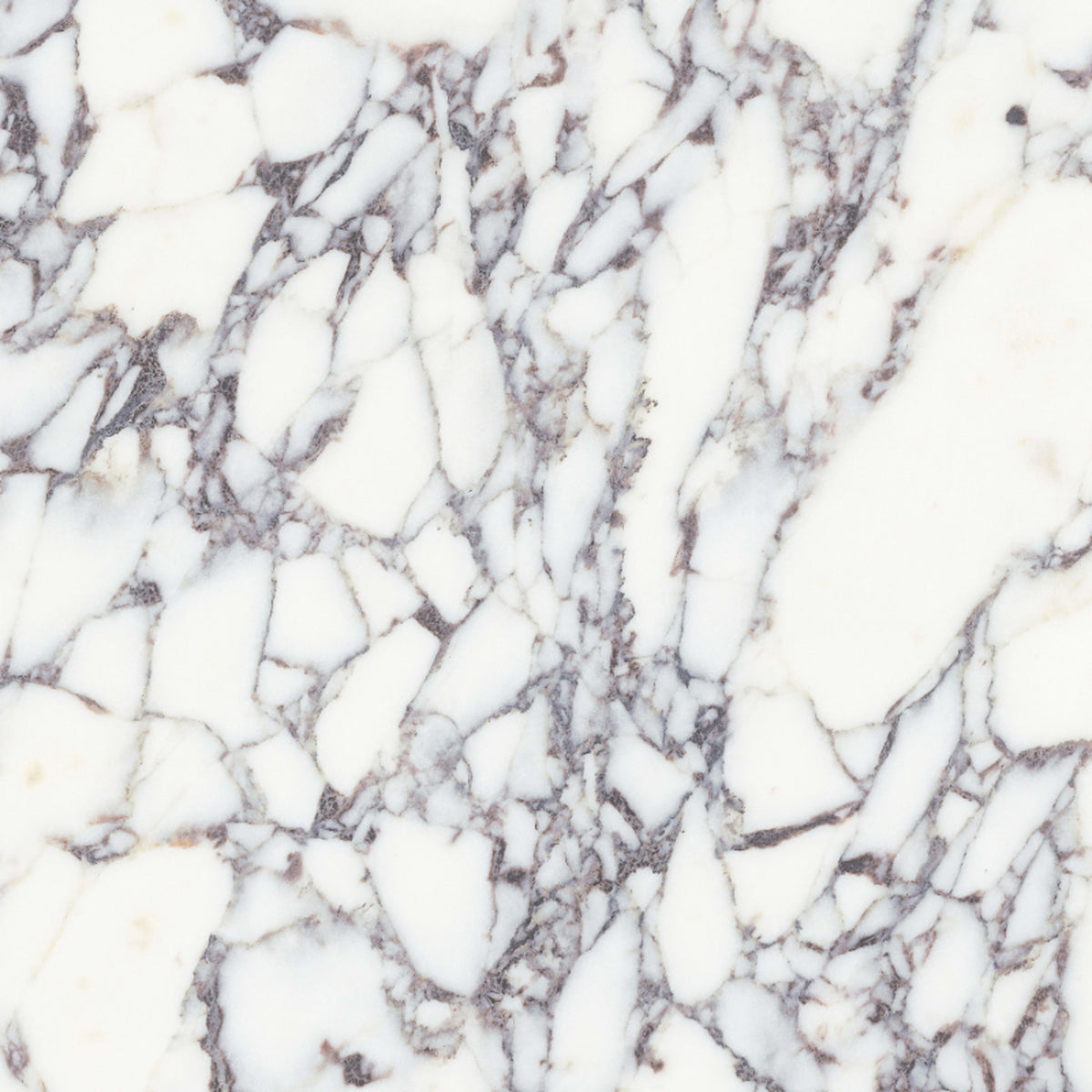 Viola Roccia in Honed 12x24 Natural Stone
